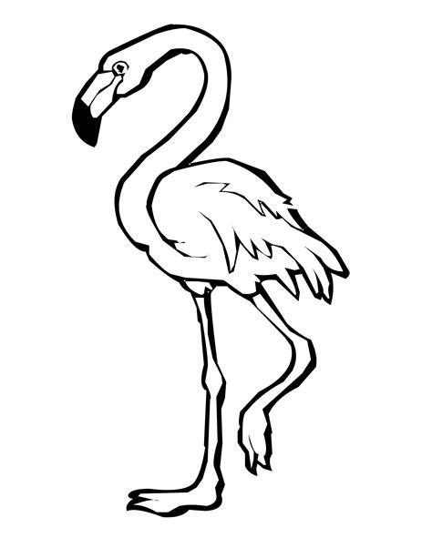 Flamingo Clipart Black And White Free Download On Clipartmag