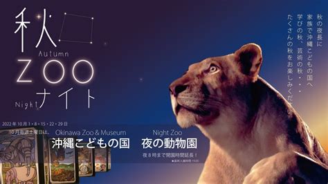 【秋zooナイト】 秋の夜長は家族で沖縄こどもの国夜の動物園へ Youtube