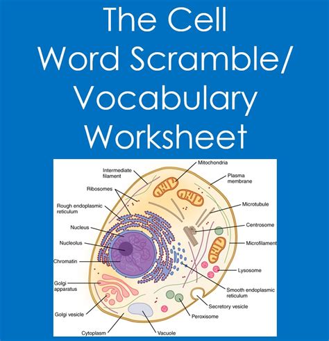 Free Biology Vocabulary Worksheet Download Free Biology Vocabulary