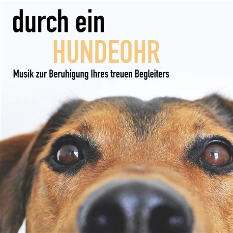 Durch ein Hundeohr Entspannungsmusik für Hunde von Regina Baldoni