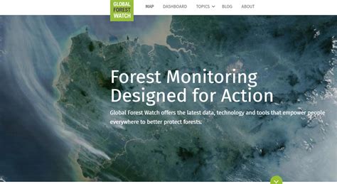 Global Forest Watch Gfw European Data Journalism Network Edjnet