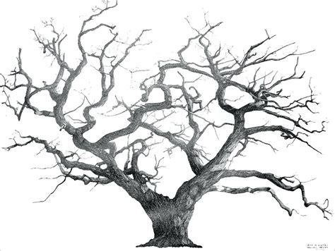 Creepy Tree Drawing At Explore Collection Of