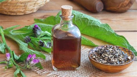 Comfrey How To Use Medicinally As Oil And Salve