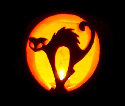 10 Scary Cat Pumpkin Carving