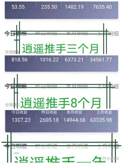 逍遥推手怎么代理赚钱 无卡支付app