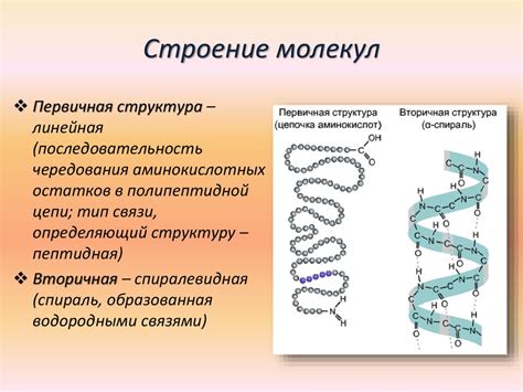 Белки. Качественный состав белков - презентация онлайн