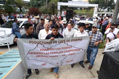 Productores Protestan En Sader Por Bajos Precios Del Caf Formato Siete