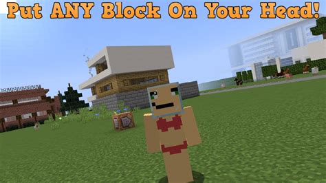 How To Put Blocks On Your Head In Minecraft 116 Or Live