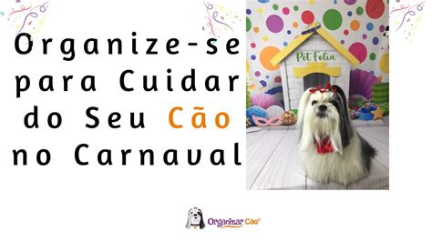 Dicas Imperd Veis Para Cuidar Do Seu C O No Carnaval Organizar C O