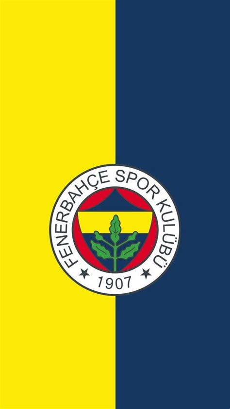 zebra Akım onaylamak fenerbahçe hd duvar kağıtları Aja pazarlama saltanat