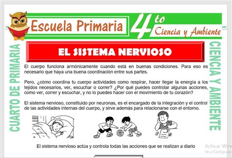 Que Es La Energia Para Niños De Cuarto De Primaria Actividad Del Niño