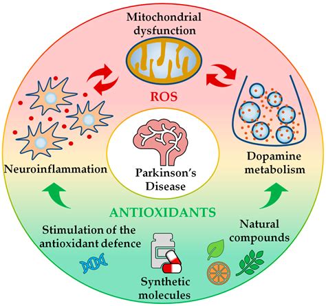 Antioxidants Free Full Text Antioxidant Therapy In Parkinson’s Disease Insights From