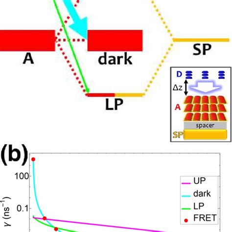 A Schematic Energy Level Diagram Showing The Eet Transitions From