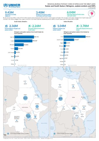 EHAGL: Sudan and South Sudan population by situation | Global Focus