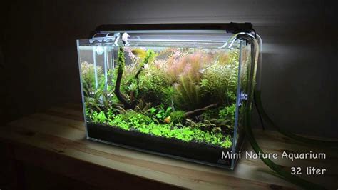 Planted Tank Mini Nature Aquarium Youtube