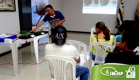 Productores algodoneros de Guayas y Manabí se capacitan en el manejo