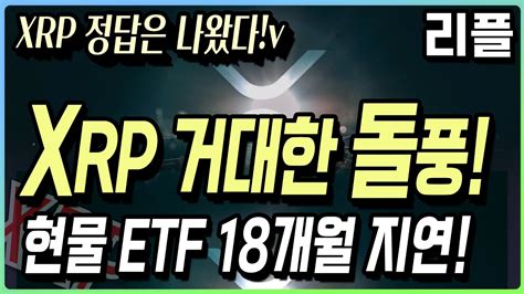 리플 Xrp의 거대한 돌풍 현물 Etf 18개월 지연 답이 나왔습니다 리플 리플전망 리플코인 Youtube