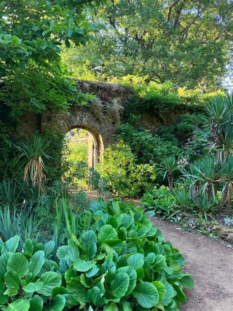 National Trust Purchases Gertrude Jekyll’s Home Munstead Wood - Garden ...