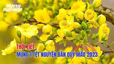 Thời tiết Mùng 1 Tết Nguyên đán 2023 như thế nào