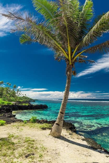 Playa Tropical En El Lado Sur De La Isla De Samoa Con Palmeras De Coco