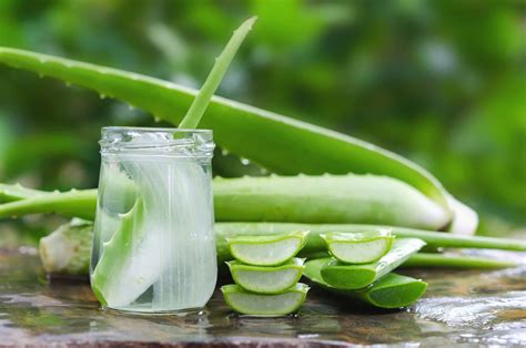 Descubre Los Increíbles Usos Del Aloe Vera En El Hogar Aloe Vera Saludable