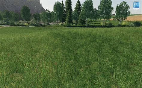 Vergessene Pflanzen Gras Morgen V1 0 FS19 Landwirtschafts