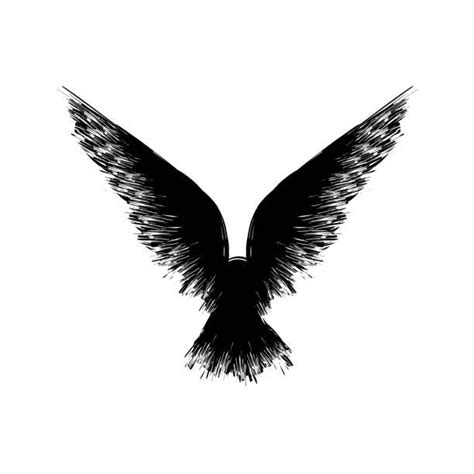 Drawing Of A Raven Wings Tattoo Illustrations, Royalty-Free Vector ...