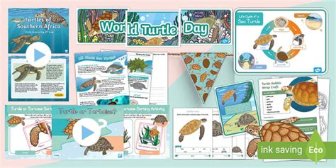 World Turtle Day Bumper Pack Teacher Made Twinkl