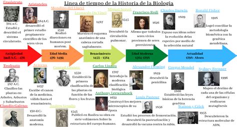 Linea Del Tiempo De Los Avances De La Biologia En Los Ultimos A Os