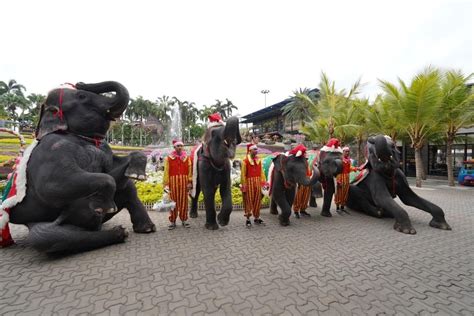 สวนนงนุชพัทยา โชว์ช้างแสนรู้ต้อนรับวันคริสต์มาส พร้อมโปรสุดปัง มา 5