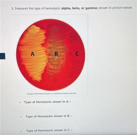 Solved 3. Interpret the type of hemolysis (alpha, beta, or | Chegg.com