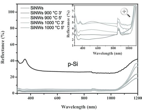 Color Online Reflectivity Spectra Of Silicon Nanowires And P Type