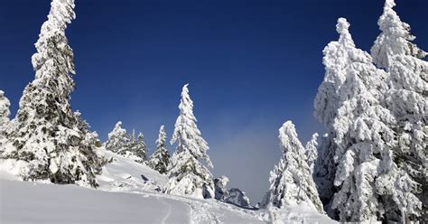 Haut Rhin Risque De Coul Es De Neige Sur Le Massif Vosgien