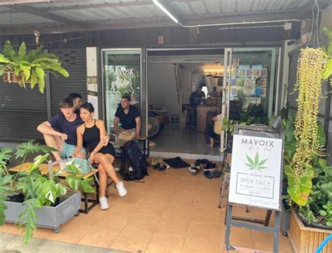 Chiang Mai Stores Weeddee Thailand Cannabis Shops Directory