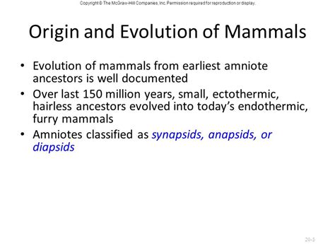 🎉 Are mammals ectothermic or endothermic. Are mammals endothermic or ...