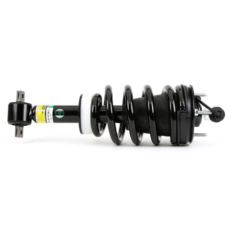 Arnott Air Suspension SK 4261 Arnott Suspension Strut And Coil Spring