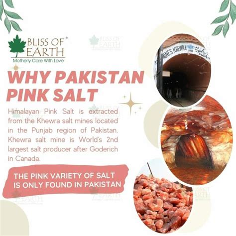 Bliss Of Earth Gm Pure Himalayan Pink Salt Of Pakistan Cooking No