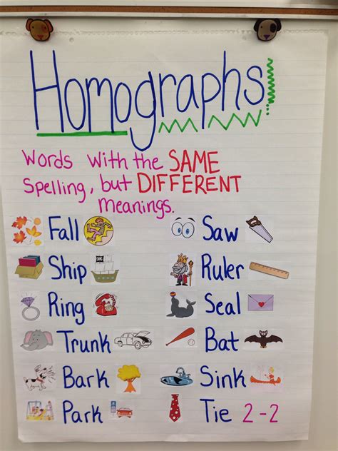 Homophones Anchor Chart 3rd Grade