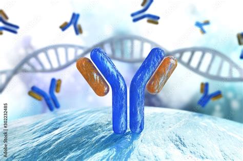 Antibodies Immunoglobulins The Immune System 3d Rendering Stock