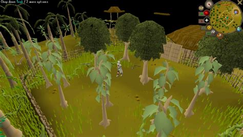 OSRS: The Best Woodcutting Locations (Ranked) | Gaming Gorilla