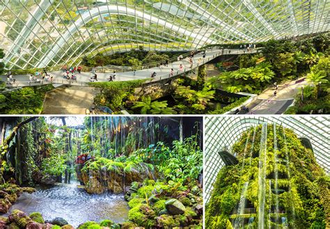 Gardens By The Bay How Many Trees Fasci Garden