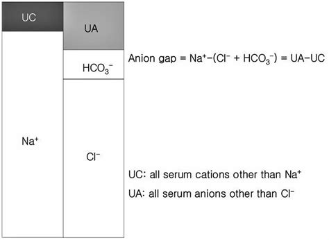 Anion Gap Low On Blood Test