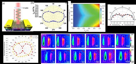 A Schematic Of The Polarization Sensitive Photodetector B Polar