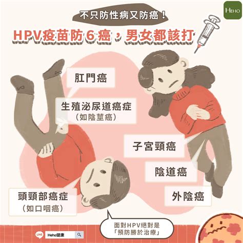 防性病又防癌！hpv疫苗防6癌，男女都該打 蕃新聞