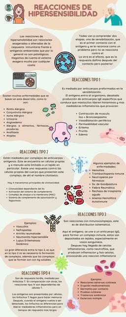 Infografia Hipersensibilidad Tipo Udocz The Best Porn Website