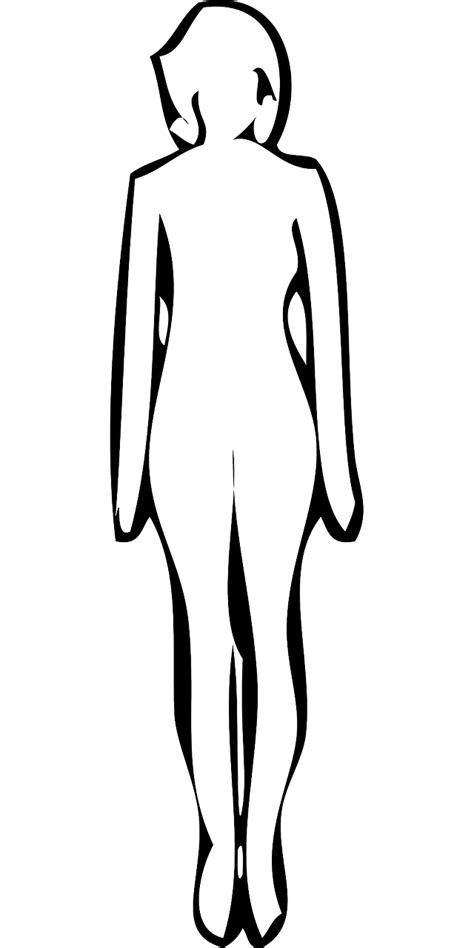 Woman Body Outline Png Outline Of A Female Body Template Free