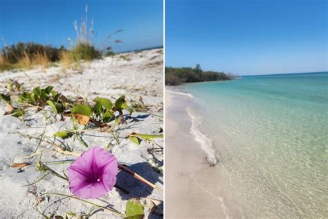 12 Most Secluded Beaches in Florida You Need to Visit