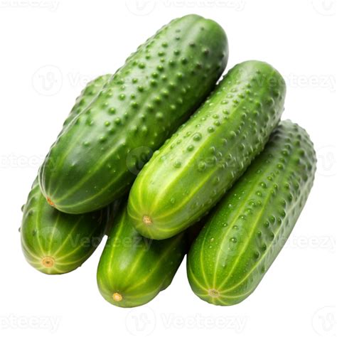 Fresh Green Cucumbers Isolated On Transparent Background 45943811 PNG