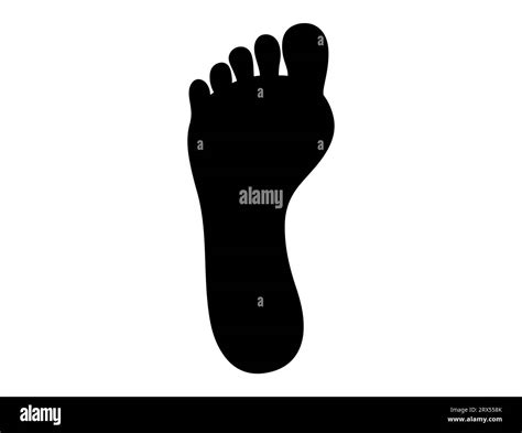 Foot Silhouette Vector Art White Background Stock Vector Image Art