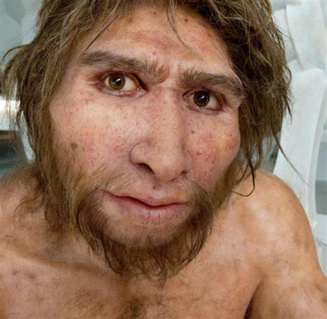 Neue Erbgut Analyse Als Neandertaler Und Mensch Erstmals Sex Hatten